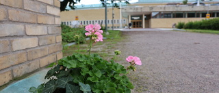Vem lämnar blommorna vid monumentet i Linköping?