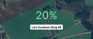 Så gick det för Lars Sundman Skog AB under 2023