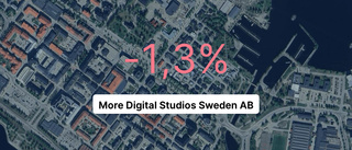 MInskad omsättning för More Digital Studios Sweden AB 