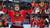 Här firar Luleå/MSSK:s hjältar det sjätte raka SM-guldet