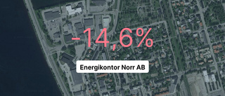 Här är siffrorna som visar hur det gick för Energikontor Norr AB