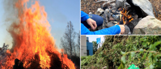 Hårdare regler – EU vill stoppa eldning av trädgårdsavfall