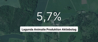 Här är siffrorna som visar hur det gick för Lagunda Animalie Produktion Aktiebolag senaste året