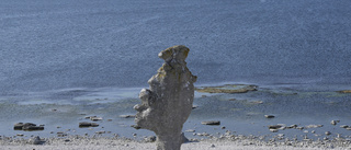 Gotland vill beskatta turister