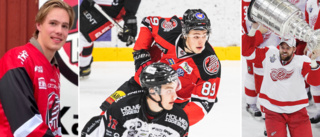 NHL-profilens son flyttar hem – är klar för Piteå HC