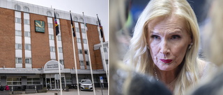 Kronofogden: Gunilla Persson har ljugit om vem föremålen tillhör