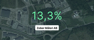 Här är siffrorna för Zober Måleri AB senaste året