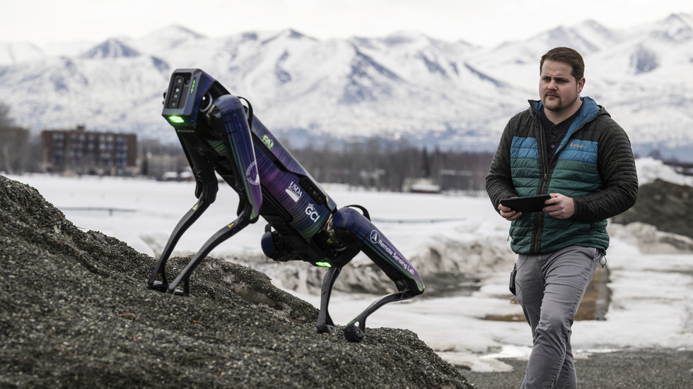 En robot som kan kläs ut till en räv eller coyote ska göra stor nytta vid Alaskas flygplatser.