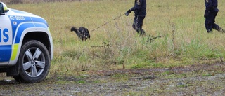 Knivhotade till sig flera bilar - 26-åring åtalas