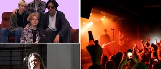 De vill ge nystartade band en chans till spelning – ungdomar bjuder in till konsert på Lillan: "Det blir fullt ös"