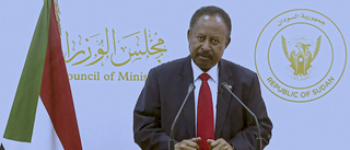 Sudanesiska politiker släppta
