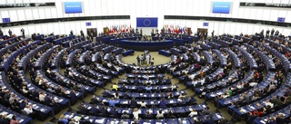Tydlig majoritet vill förbjuda sexköp inom hela EU