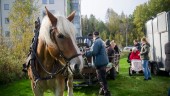Torgny Oscarsson bjuder Myntans hyresgäster på en tur med häst och vagn