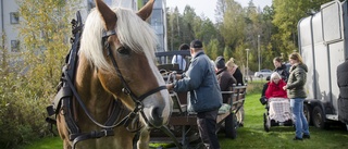 Torgny Oscarsson bjuder Myntans hyresgäster på en tur med häst och vagn