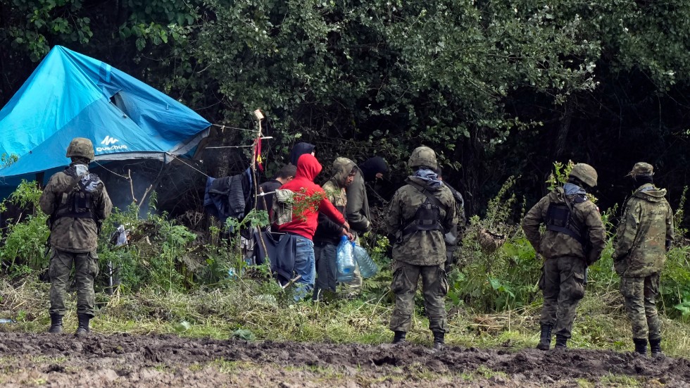 Migranter instängda på gränsen mellan Polen och Belarus. Sedan bilden togs 1 september har polska gränsbevakningen satt upp taggtråd på sin sida av gränsen, enligt människorättsorganisationen Amnesty.