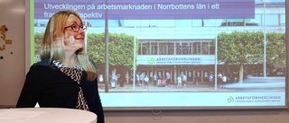 Nya draget för att locka fler till Norrbotten: "Vi har växlat upp"