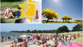 Värmebölja över Gotland – SMHI meddelar om höga temperaturer