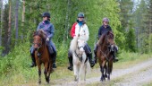 Företag i Svansele får certifikat för ekoturism