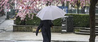 Fram med paraplyerna – helgen regnar bort