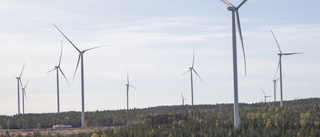 Utbyggd vindkraft ett måste för industrins tillväxt