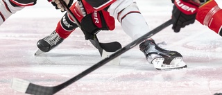 Hockeyförbundet kräver spel i hockeyettan