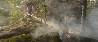  Brandflyg upptäckte brand i skogen