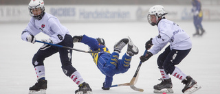 Succé direkt för sommarbandy – nästan alla platser fyllda