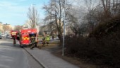Räddningstjänsten släckte gräsbrand i Oxelbergsparken