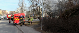 Räddningstjänsten släckte gräsbrand i Oxelbergsparken