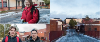Efter nya löftet – ska området rustas nu? •  Porsöbon: "Det här är en bortglömd del av Luleå"