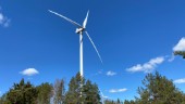 Westerwikspartiet vill att tillstånd för vindkraftverk återkallas • Hänvisar till ny forskning • Kommunens svar