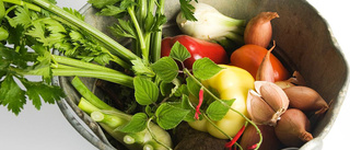 Fyra grönsaksrester du inte ska slänga – så återodlar du dem i stället