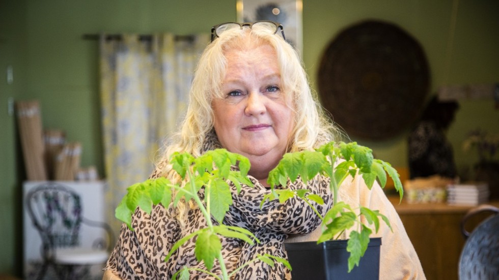 Monica Ivnäs trivs bäst med att odla och öppnar nu butik i Klintehamn. Tomatplantor finns det gott om för stunden.