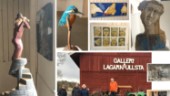 Nu öppnar salongen: Fin mix på lagårds-konsten i Ullsta