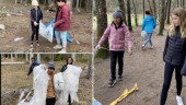 Målmedvetna elever plockade skräp i skogen: "Känns bra"