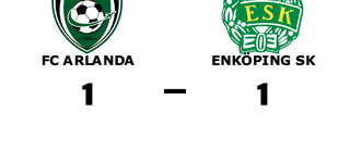 Halvtidsledning blev bara en poäng för Enköping SK