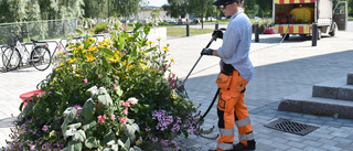 Besparingar i parkerna: Mer än hundra blomurnor togs bort