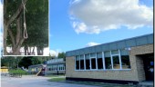 Elever hittade "flertal" hängsnaror vid Skogstorpsskolan: "Obehagligt"