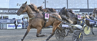 Swagger och Sandra höll för favorittrycket i V75