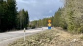 Skog ska avverkas utmed väg 56 – så påverkas trafiken