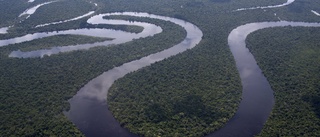 Kraschade i Amazonas – överlevde i 38 dagar
