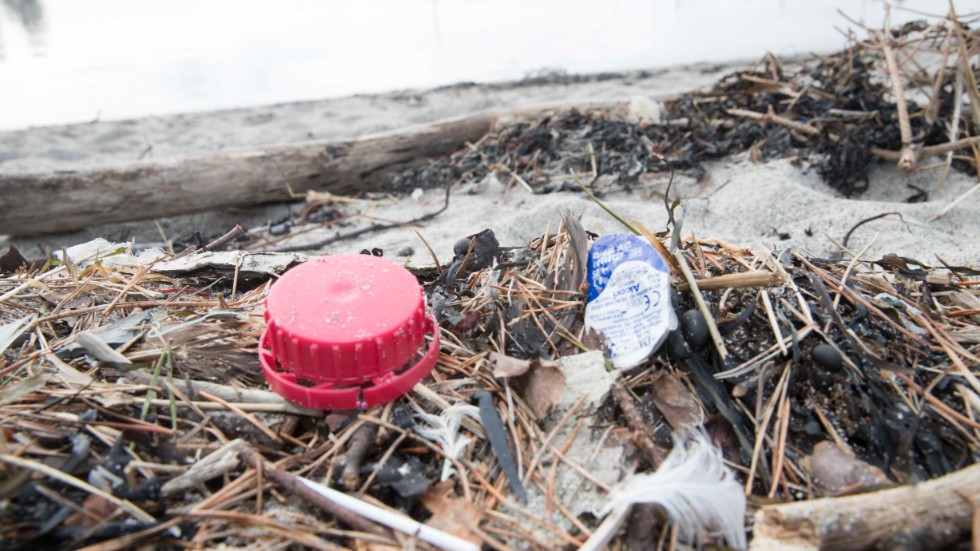 "Vi behöver minska mängden plast i våra hav och det kan vi göra tillsammans", skriver debattören.