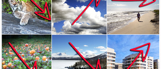 Hela listan: Här är miljömålen som Norrbotten missar