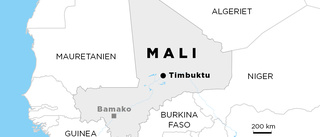 Svensk militär i eldstrid i Mali
