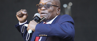 Zuma döms till fängelse för domstolstrots