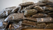 286 kilo cannabis i beslag – sex åtalas