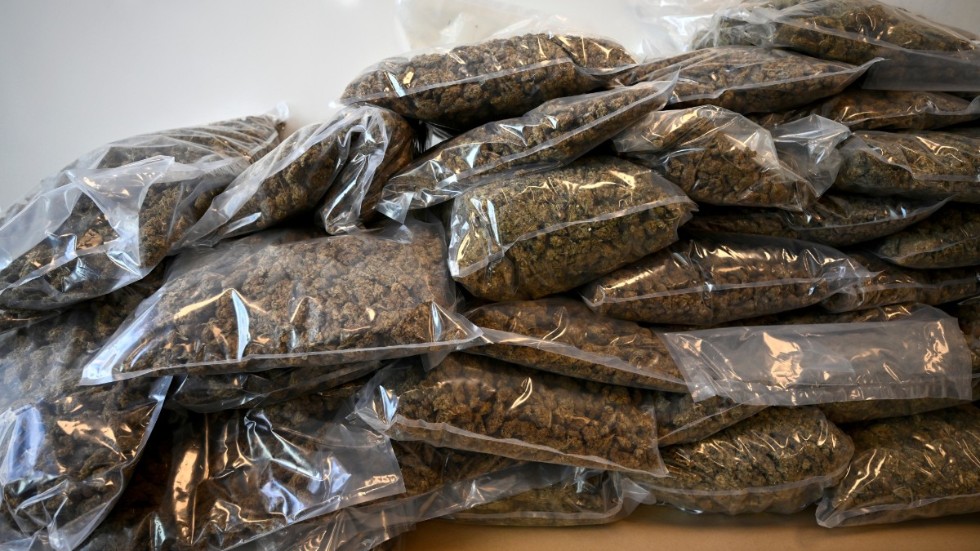 En man från Kronobergs län åtalas för smuggling av drygt ett ton cannabis, som han även ska ha varit med och distribuerat i Sverige. Arkivbild.