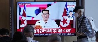 Nordkorea: "Inga nya covidfall"