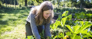 Ebba har en odlingsoas i Billsbro – vill jobba för att få upp självförsörjningsgraden