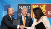 Ett steg närmare Nato, men fortfarande återstår mycket